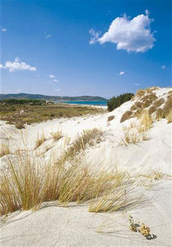 Spiaggia di Capo Comino
