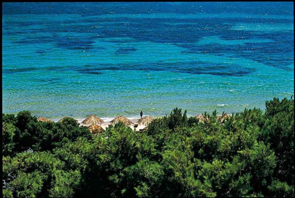 Forte Village
