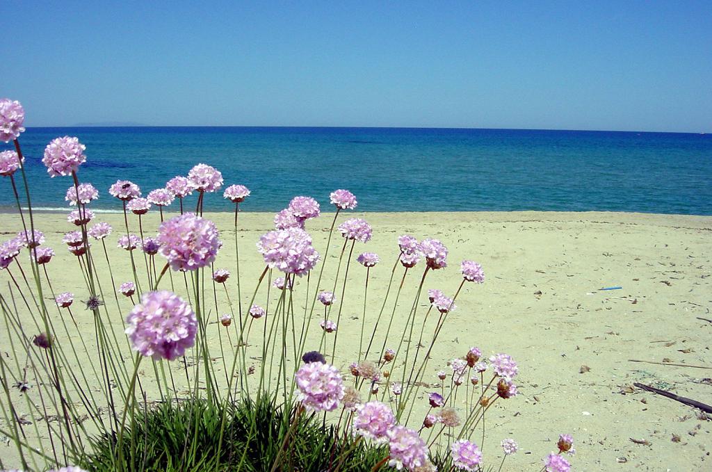 Spiaggia Li Junchi