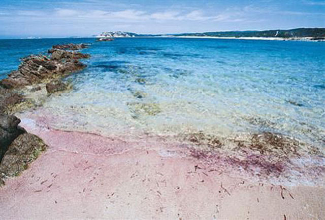 Spiaggia Naracu Nieddu