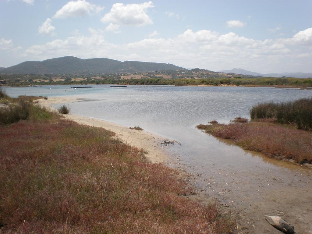 Spiaggia delle Saline (Olbia)