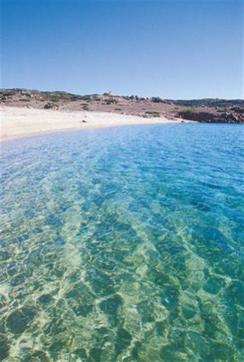 Cala Baecca (La Nicculina)