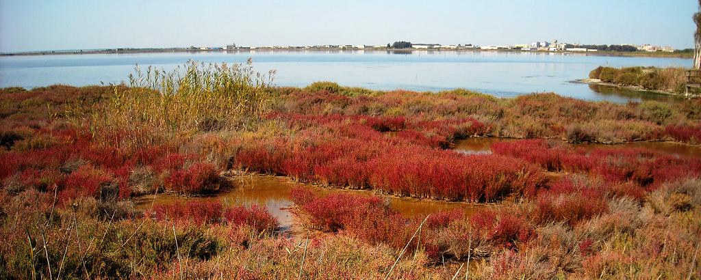 Stagno di Santa Giusta (OR)