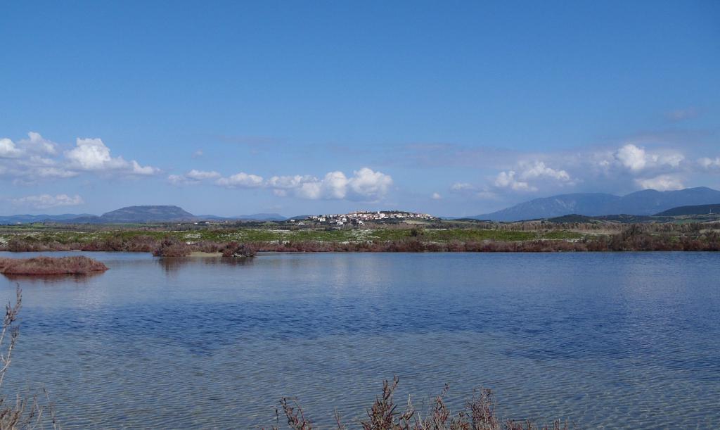 Stagno di Porto Botte