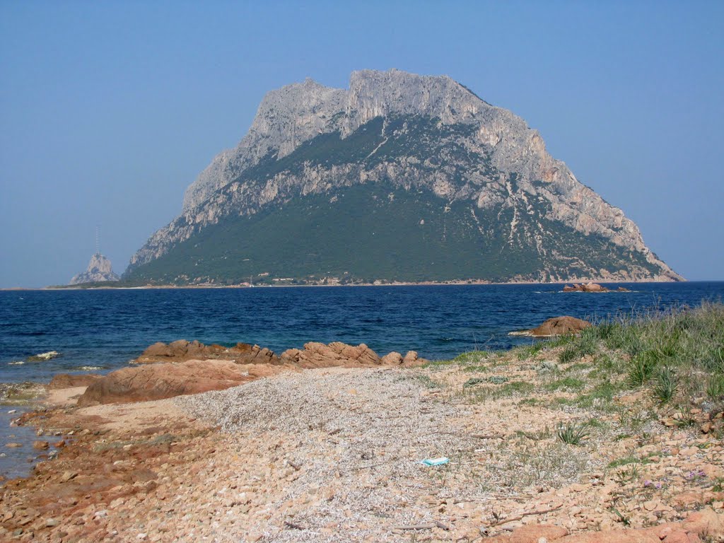 L'isola di Tavolara da Punta Don Diego